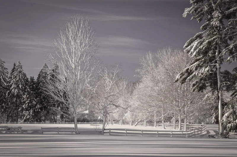 Main St. Wenham, Mass