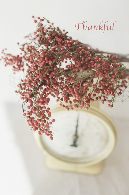 Pepper Berries