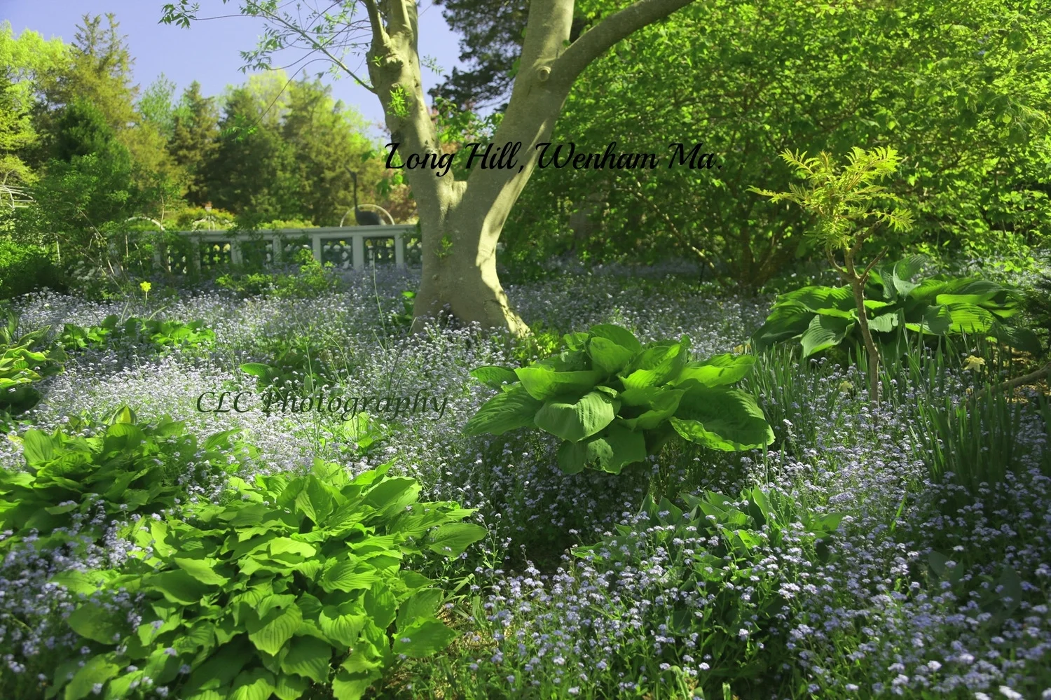 Long Hill, Wenham, Ma.