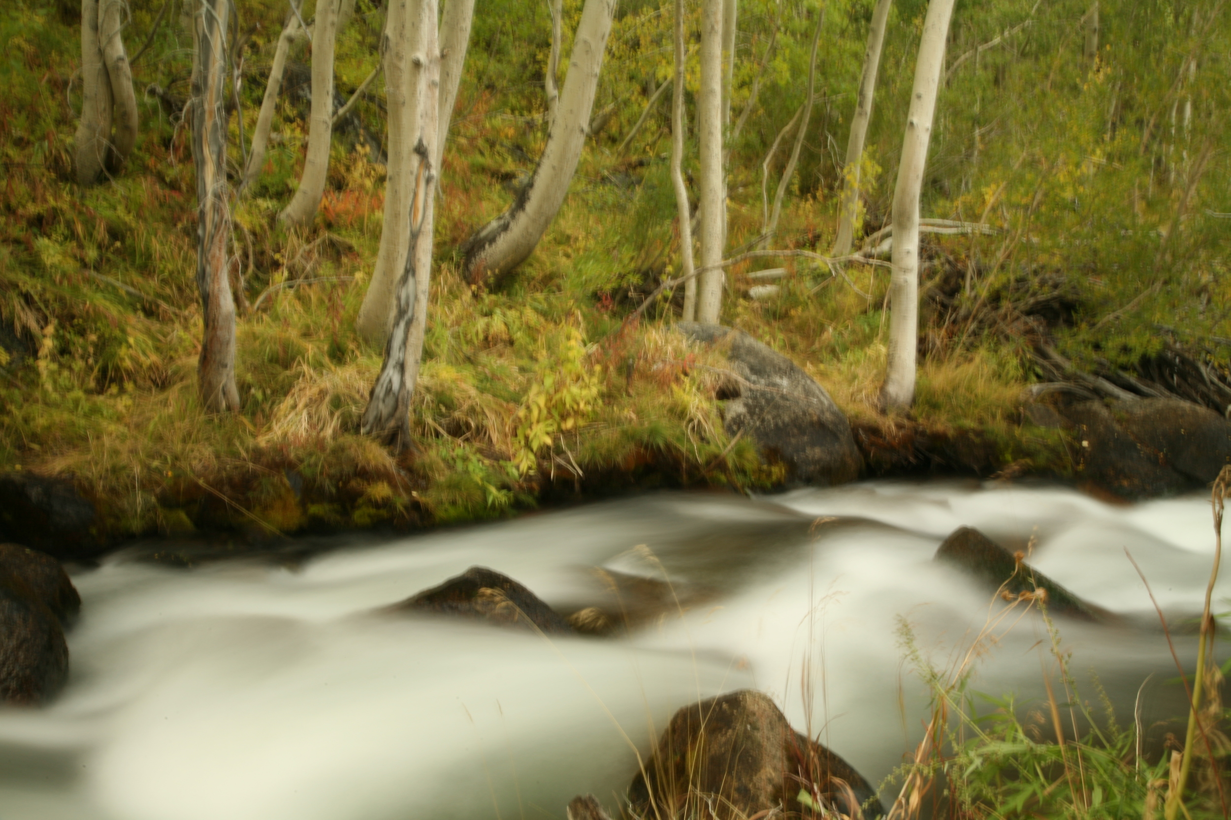 Eastern Sierra Mountains..Bishop Calif.