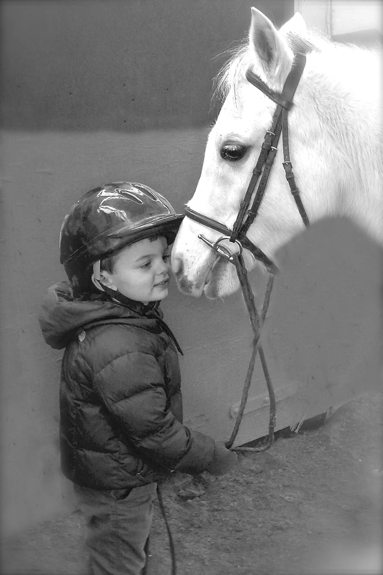 Best Friends...Hamilton, Mass