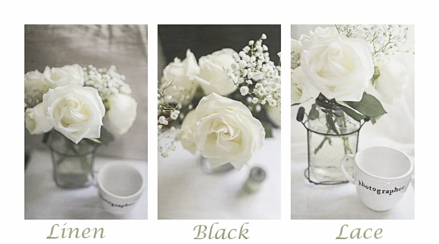 When Roses Speak...