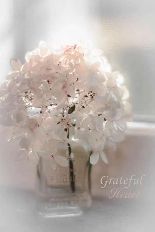 “If you suddenly and unexpectedly feel joy, don’t hesitate. Give in to it.” ~Mary Oliver~ 
