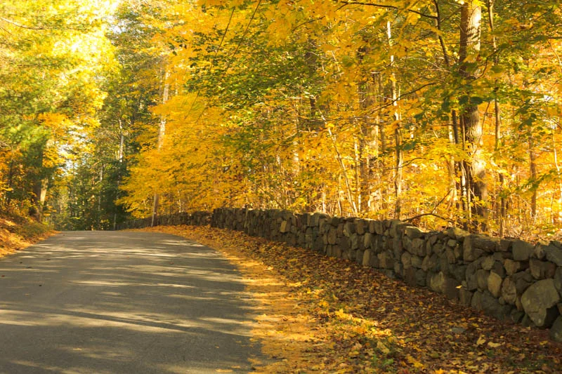 What a gift it is to live in an area that brings such color and texture to the country roads in my hood. Most days I walk in amazement at the simple joy of this safe and comforting town.