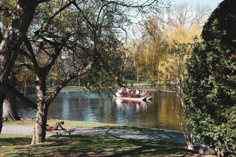 DSCF8495.jpg