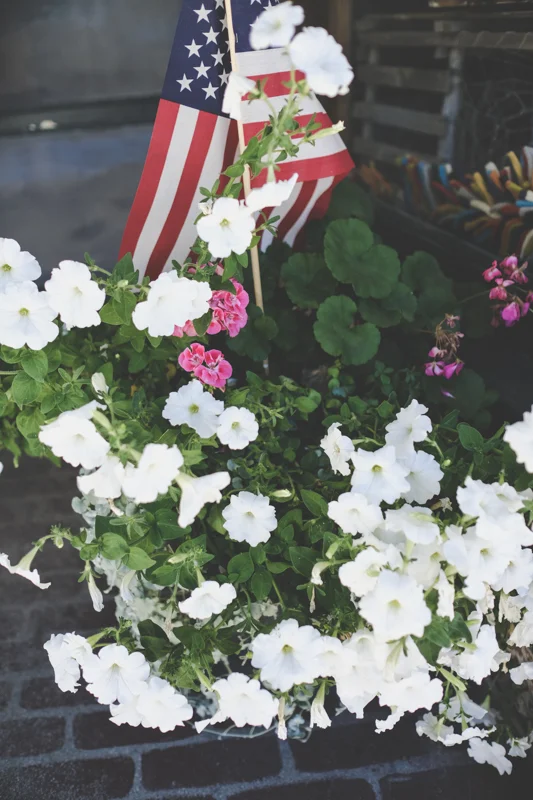 So that's my little tour of a lovely small town in Maine. There really is so much more. Bridgton is a small town but they pack a lot of goodness in a small space. You just park your car and start walking...next time I'll take you to Tea...