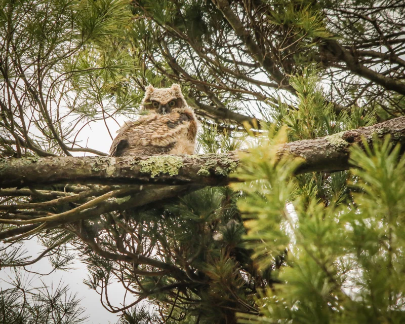 Watching me, watching her.