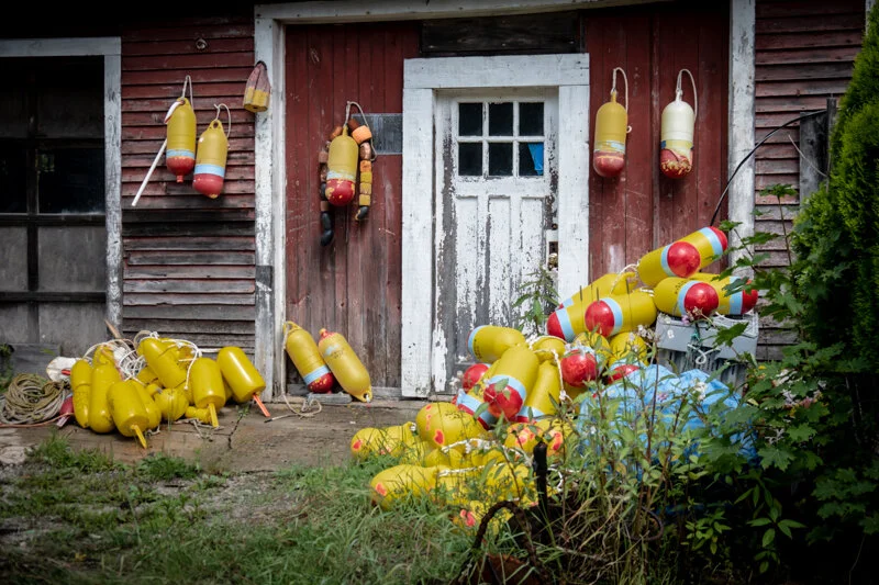The backyard of a lobsterman. So many different colored buoys in each back yard…A working town.