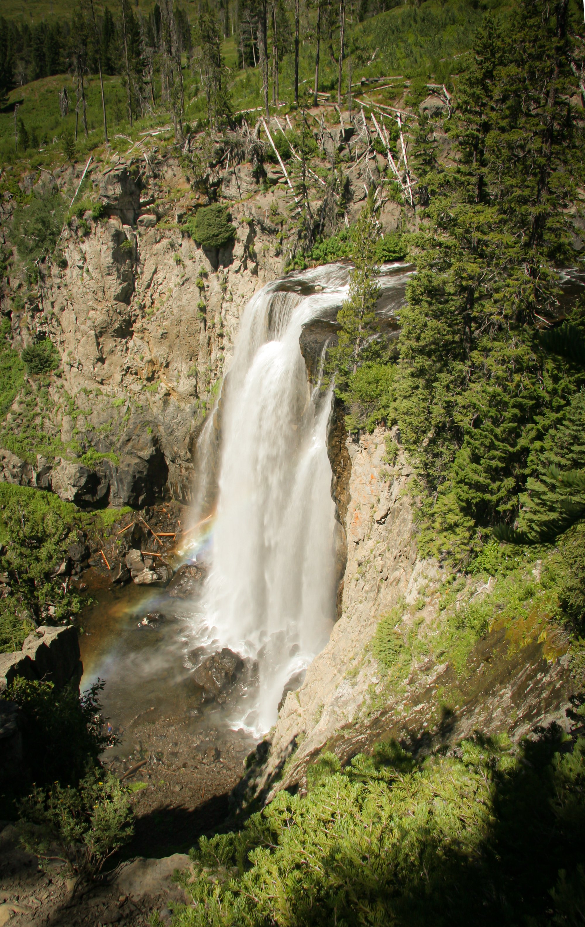 IMG_1326.jpg