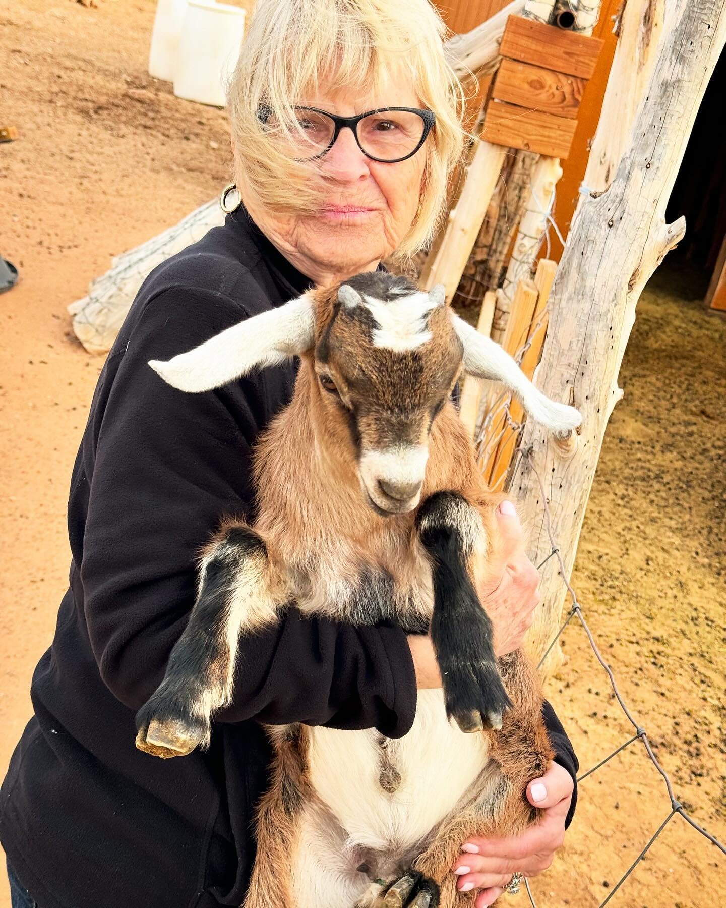 Taking a short break from work to spend some time with the baby goats.  They are so cute and entertaining.