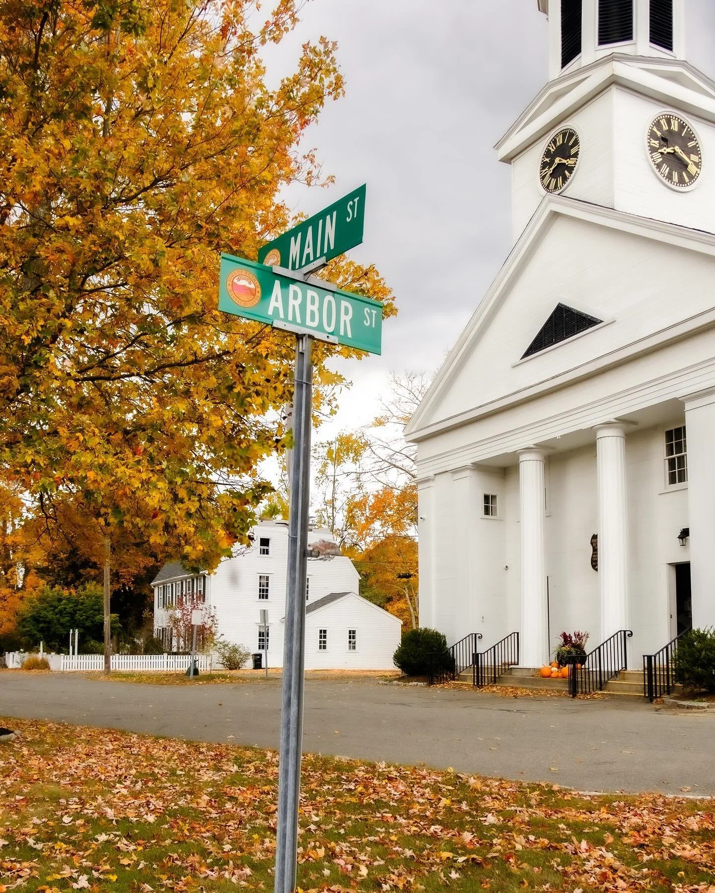 Fall

&ldquo;Use what you have, use what the world gives you. Use the first day of fall: bright flame before winter&rsquo;s deadness; harvest; orange, gold, amber; cool nights and the smell of fire. Our tree-lined streets are set ablaze, our kitchens