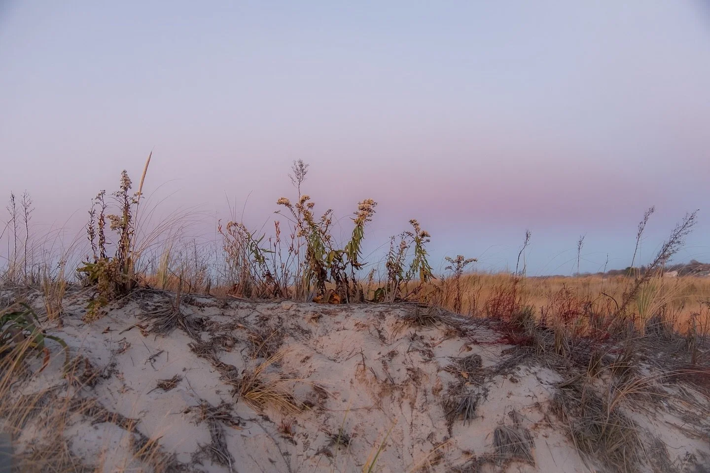 Golden hour&hellip;sunset