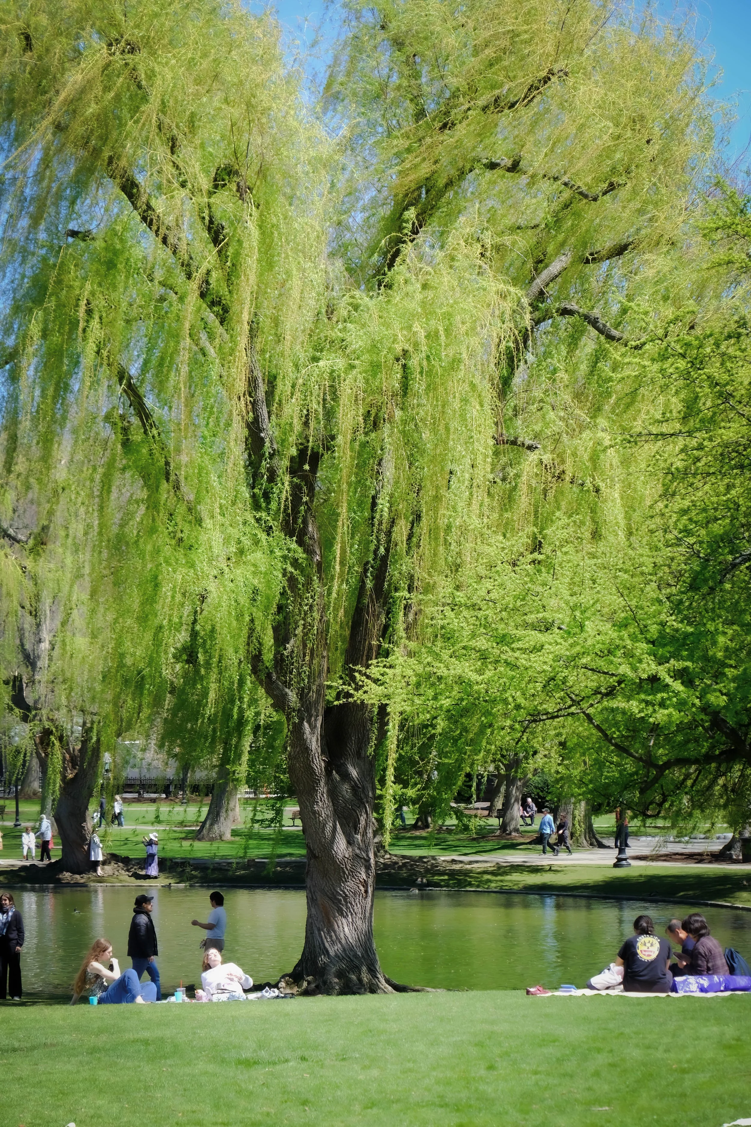 DSCF8271.jpg