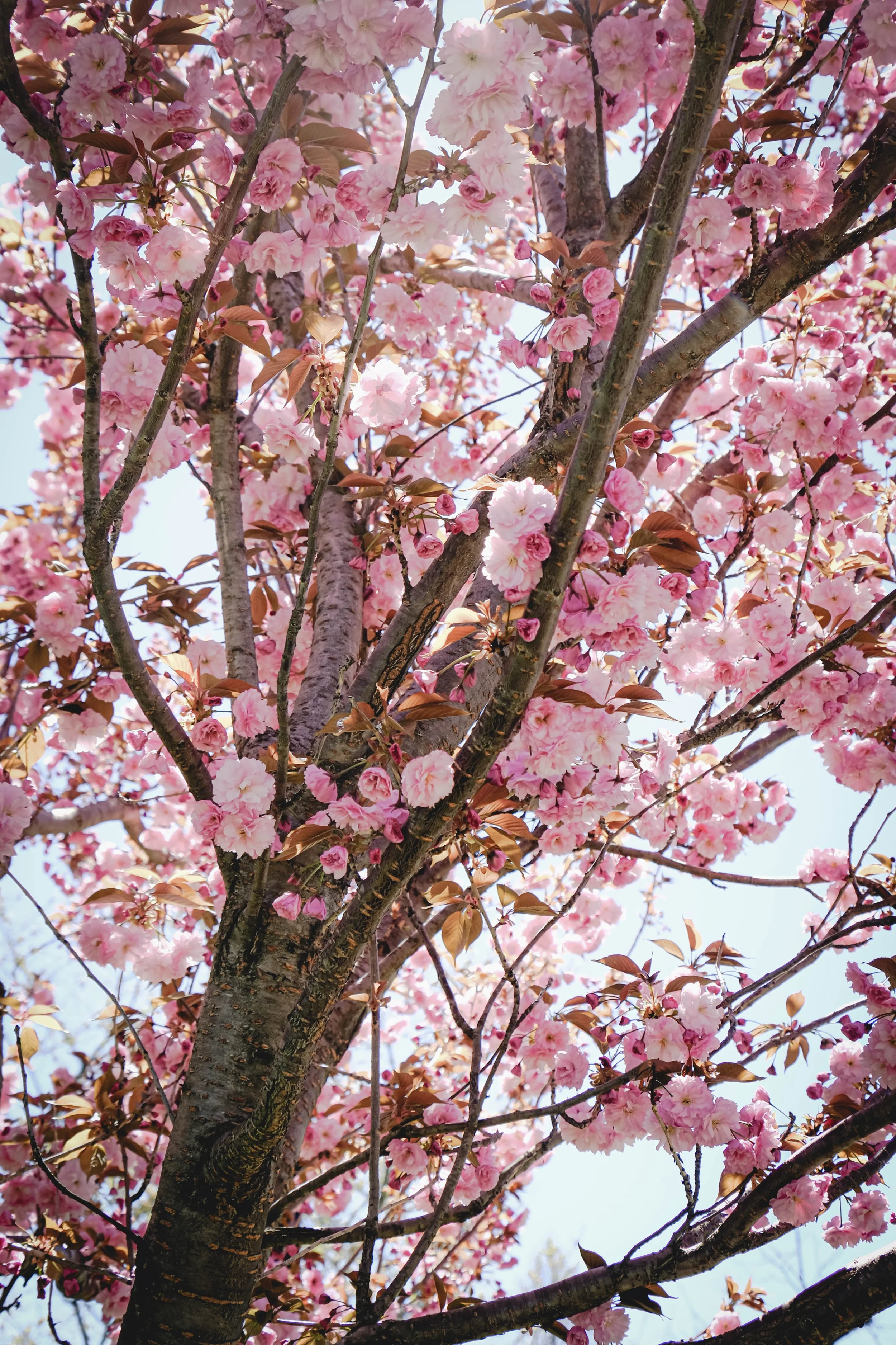 DSCF8317.jpg