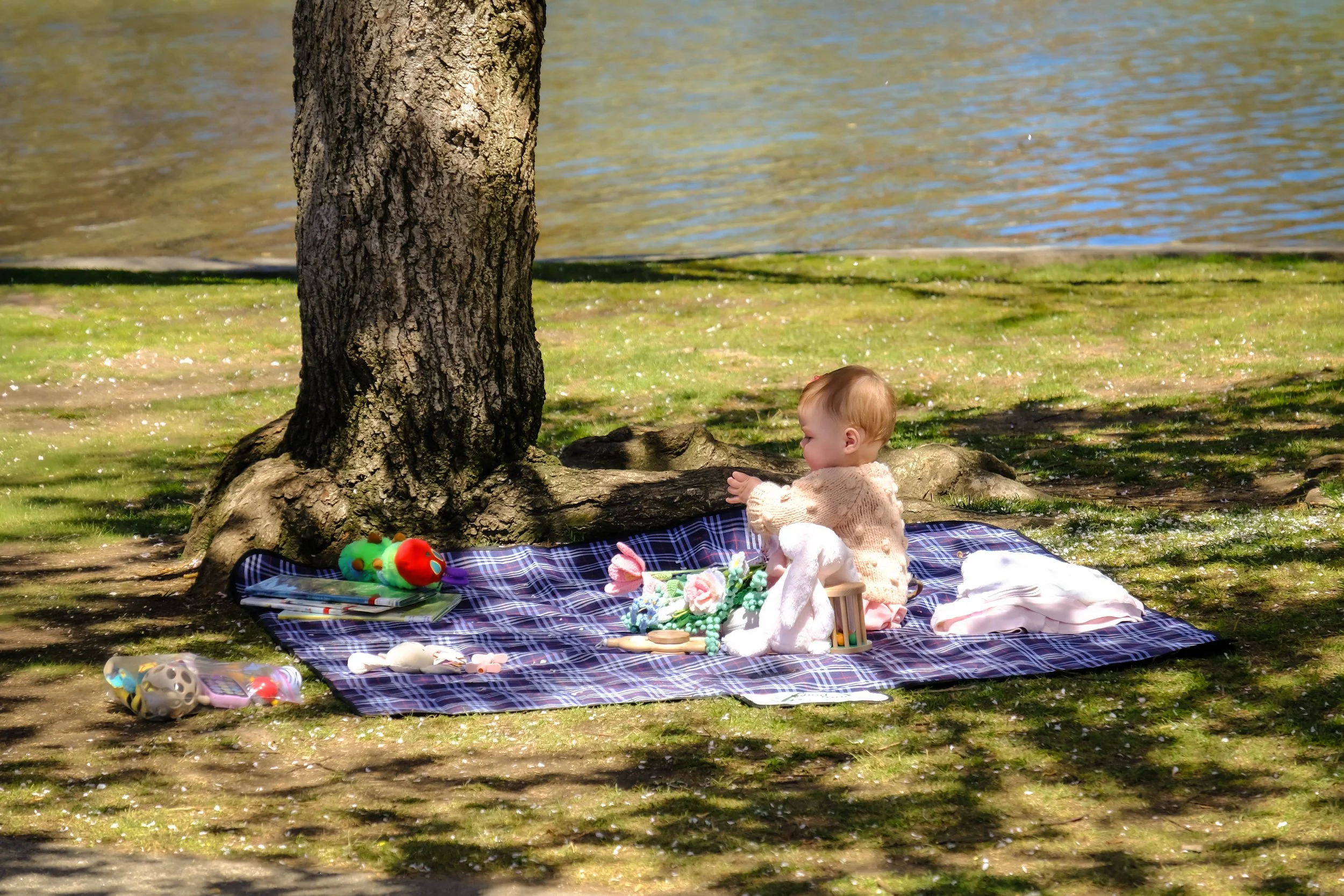 DSCF8282.jpg