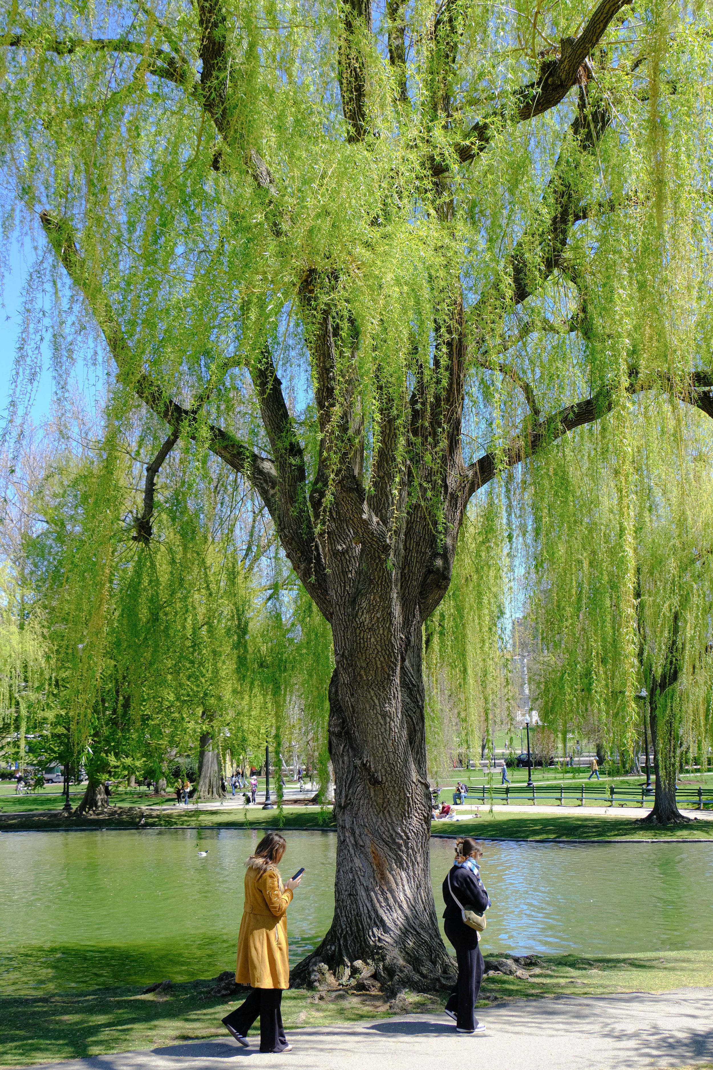 DSCF8279.jpg