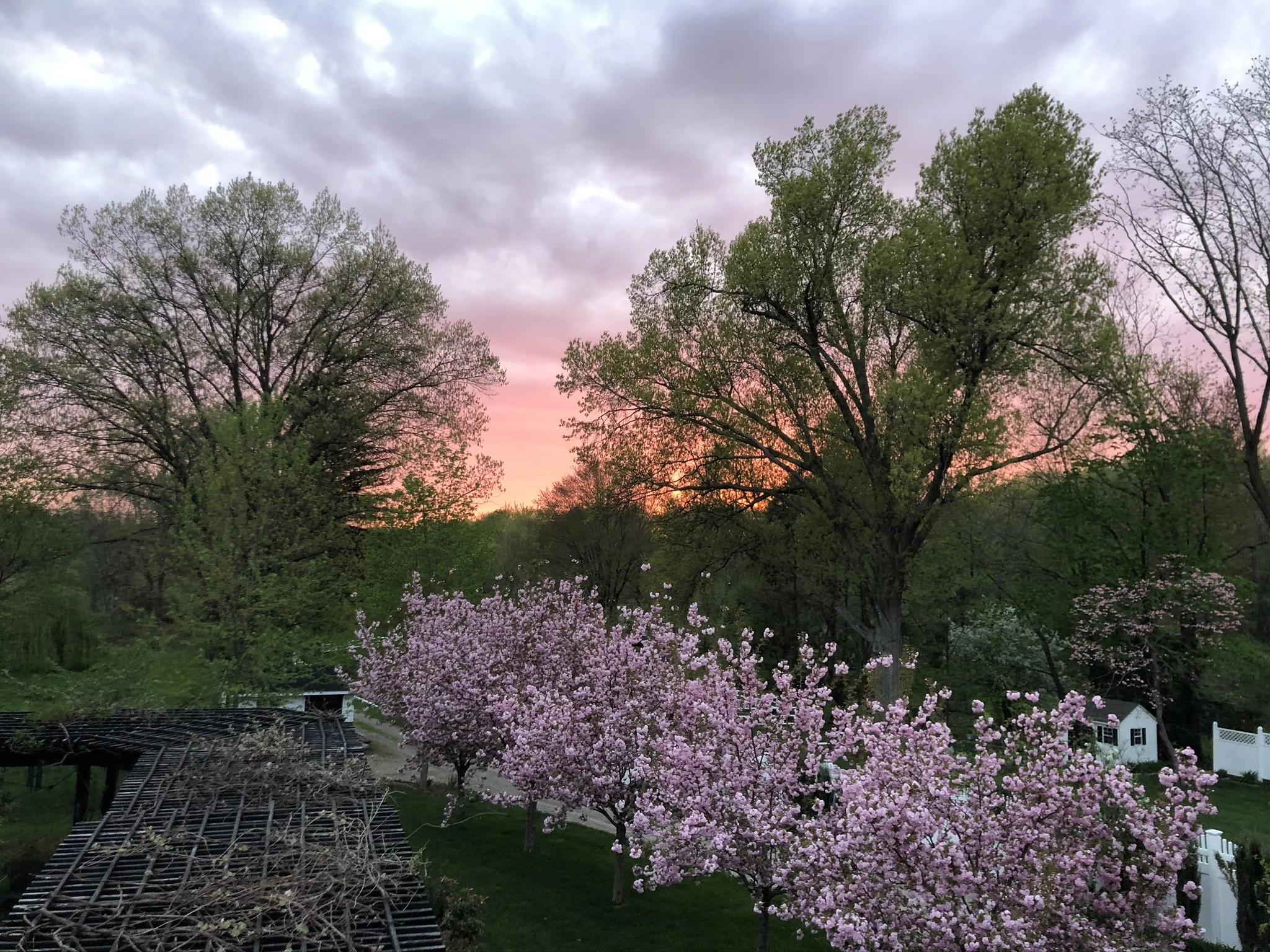 Spring_Sunset_Back_Yard.jpg.jpeg