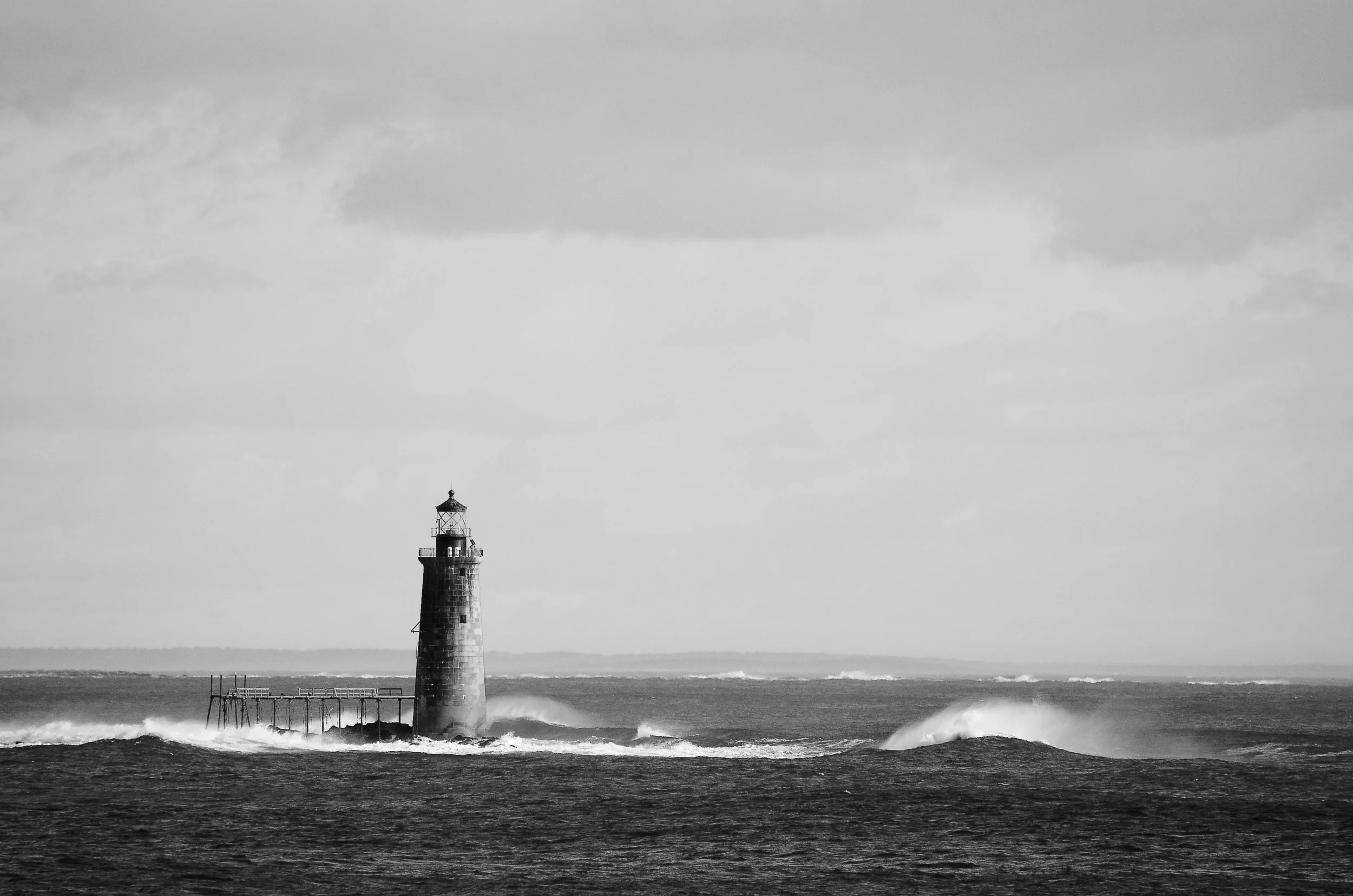 DSC_0919.jpg