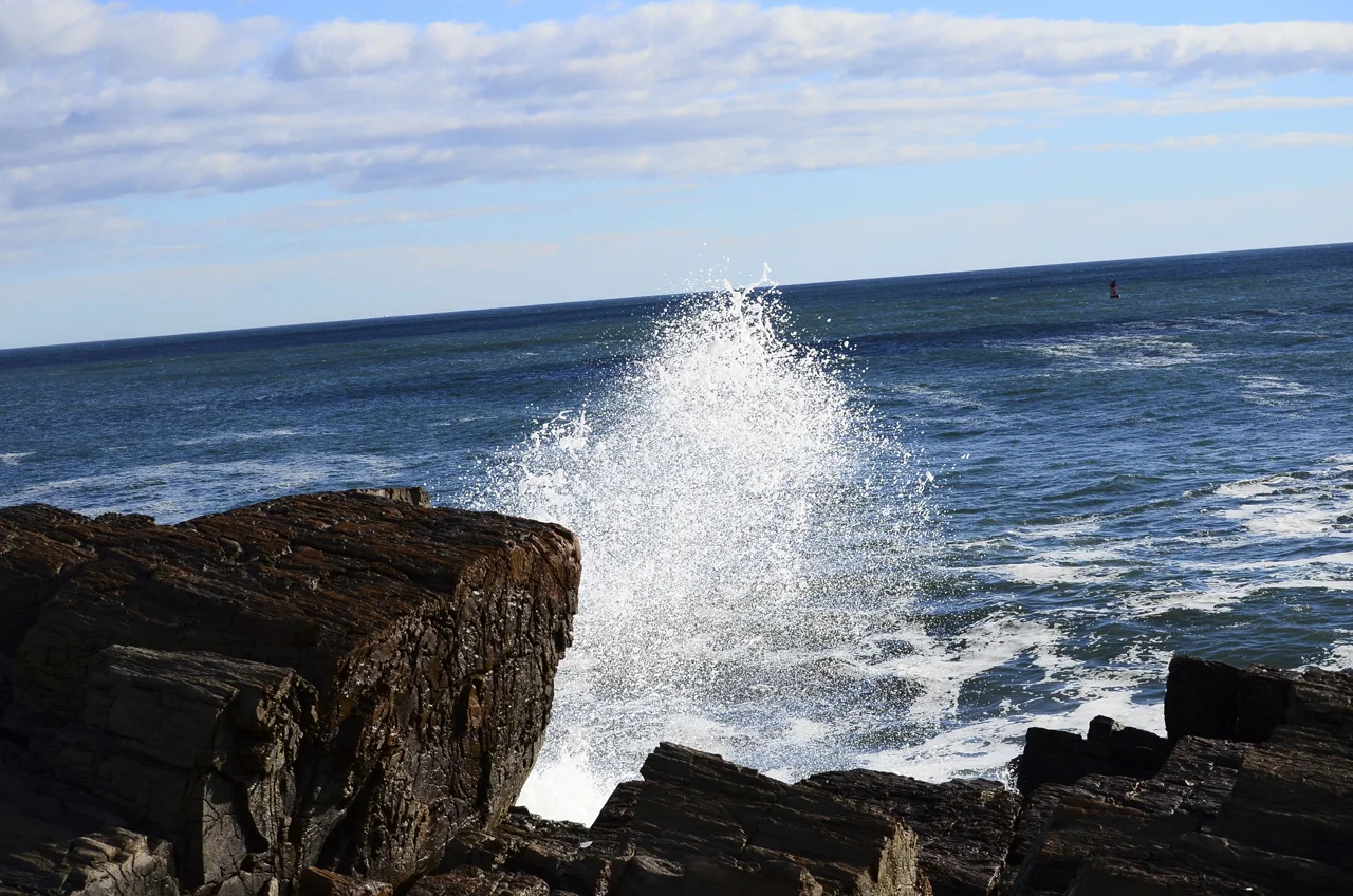 DSC_0947.jpg