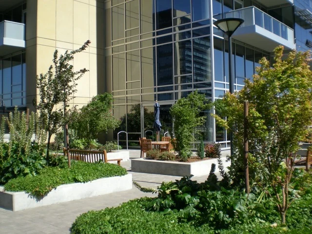 meriwether courtyard 5.jpg
