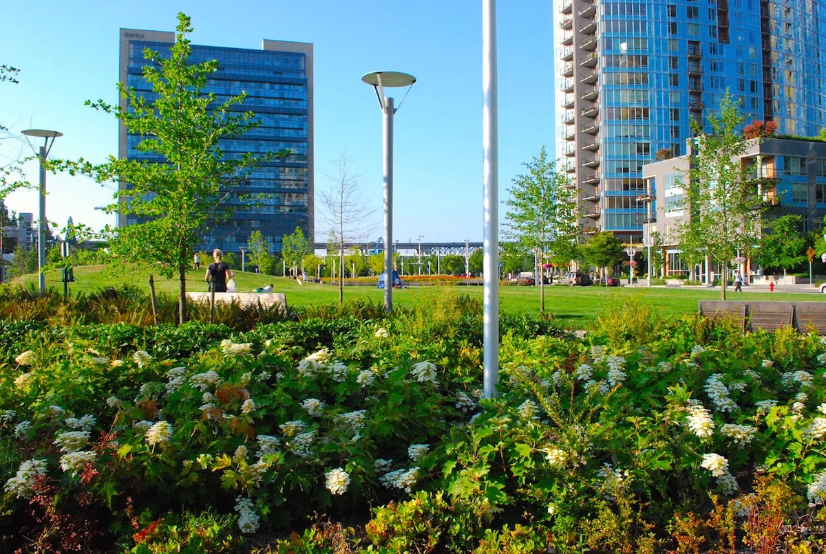 South Waterfront Elizabeth Caruthers Park view Lo Res.jpg
