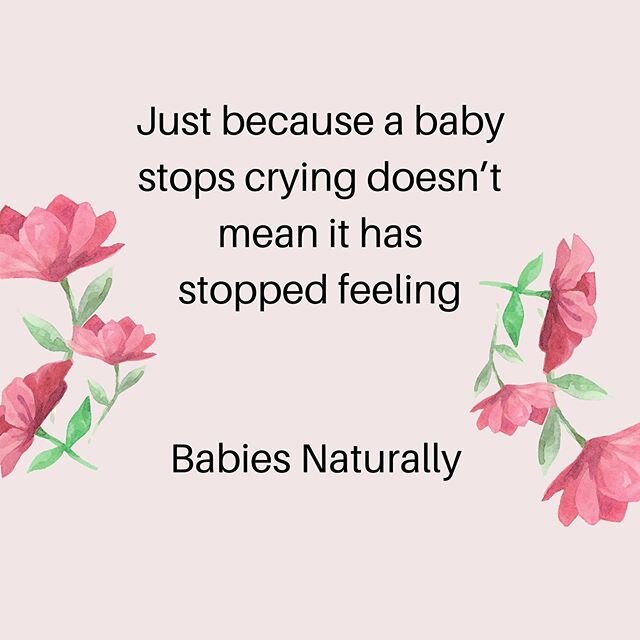 Society has got it all wrong when it comes to babies.
Babies are:
🌸fully conscious and fully aware
🌸hard wired to connect with us
🌸led by their biological imperatives to form attachment bonds with us
🌸meant to stay close to us for survival
🌸able