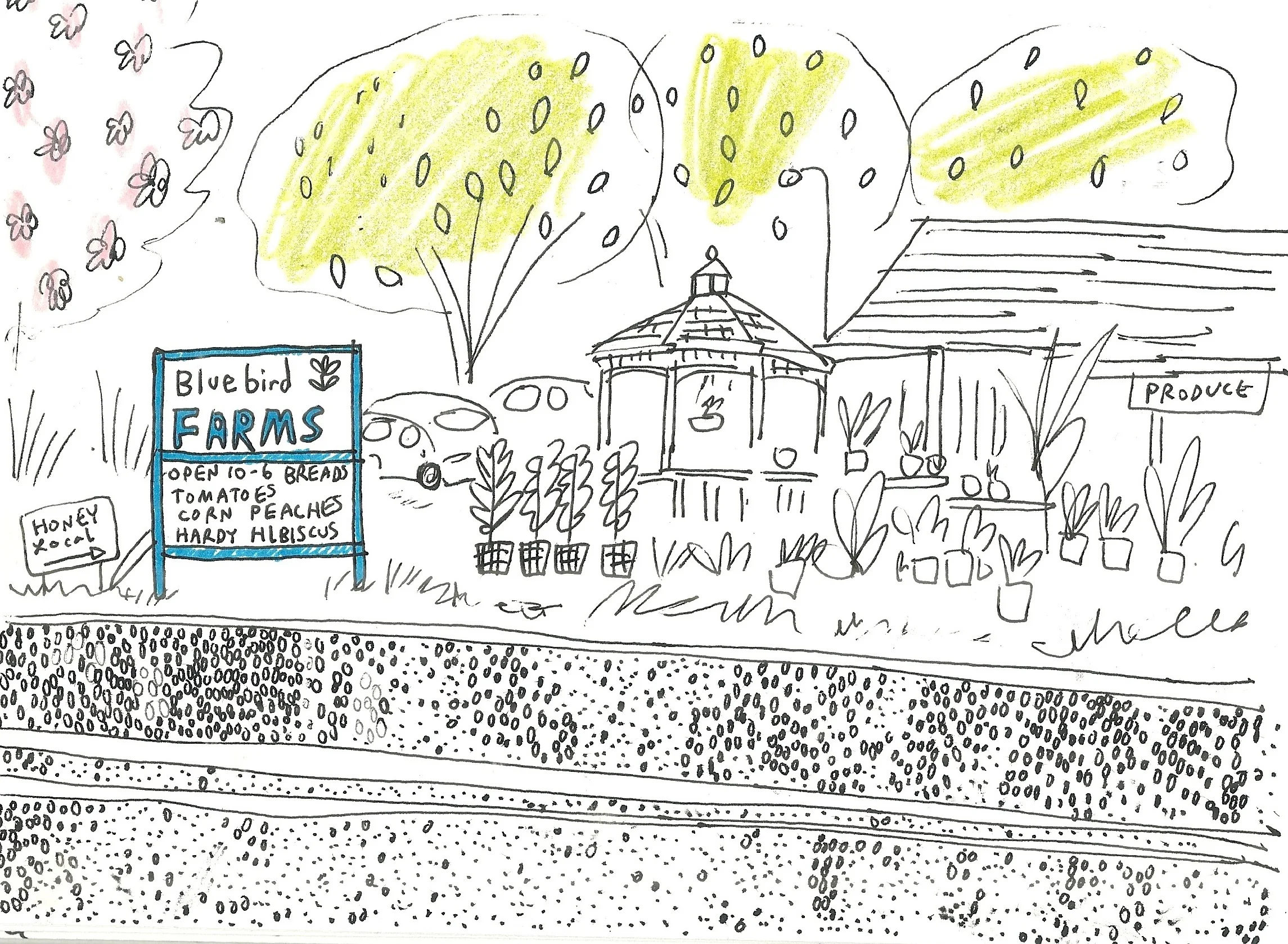 bluebird farms.jpg