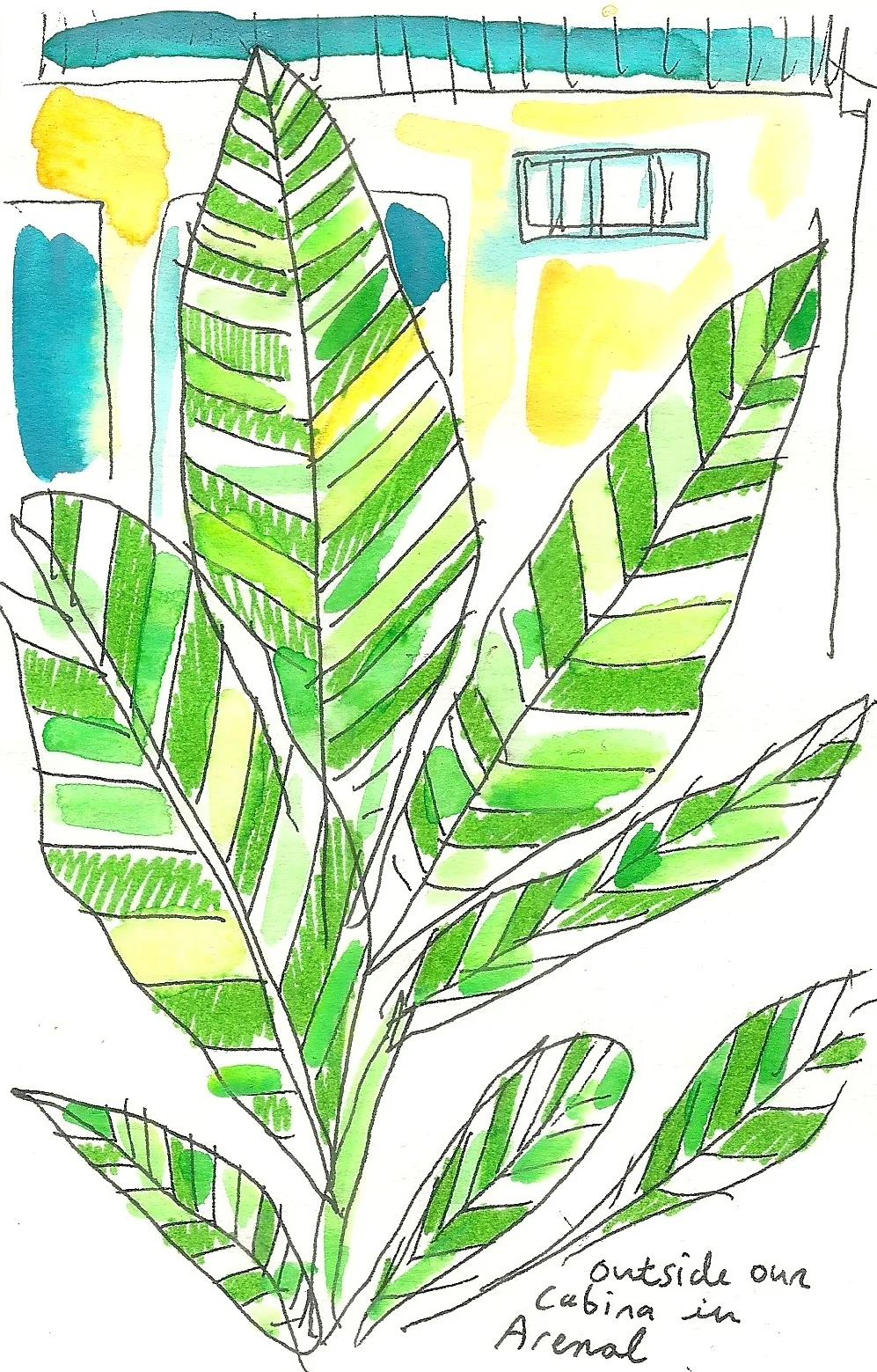 cabina palms.jpg