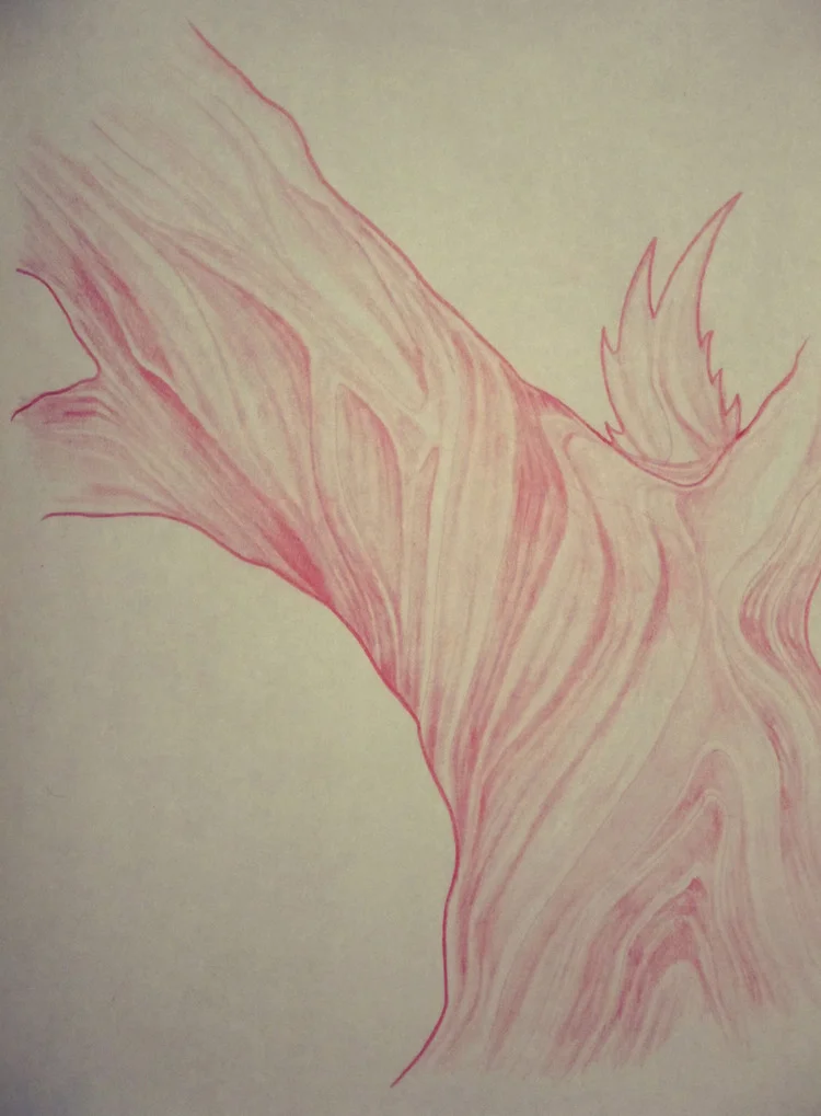 Study sketches