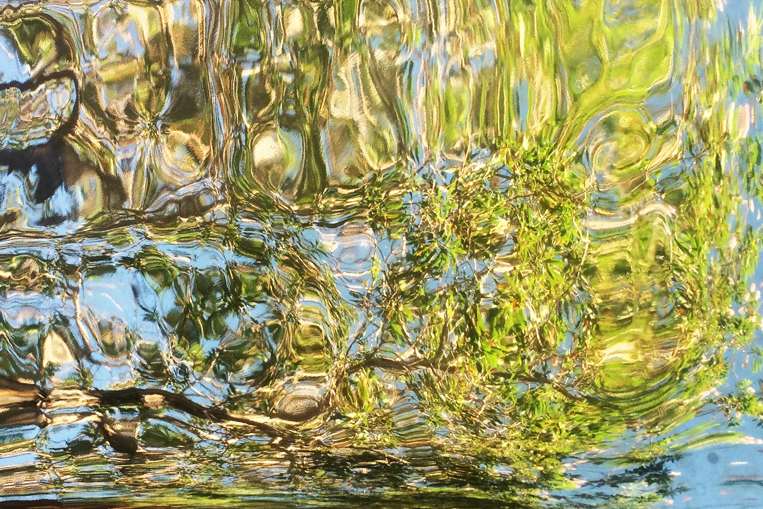 texture-2.jpg