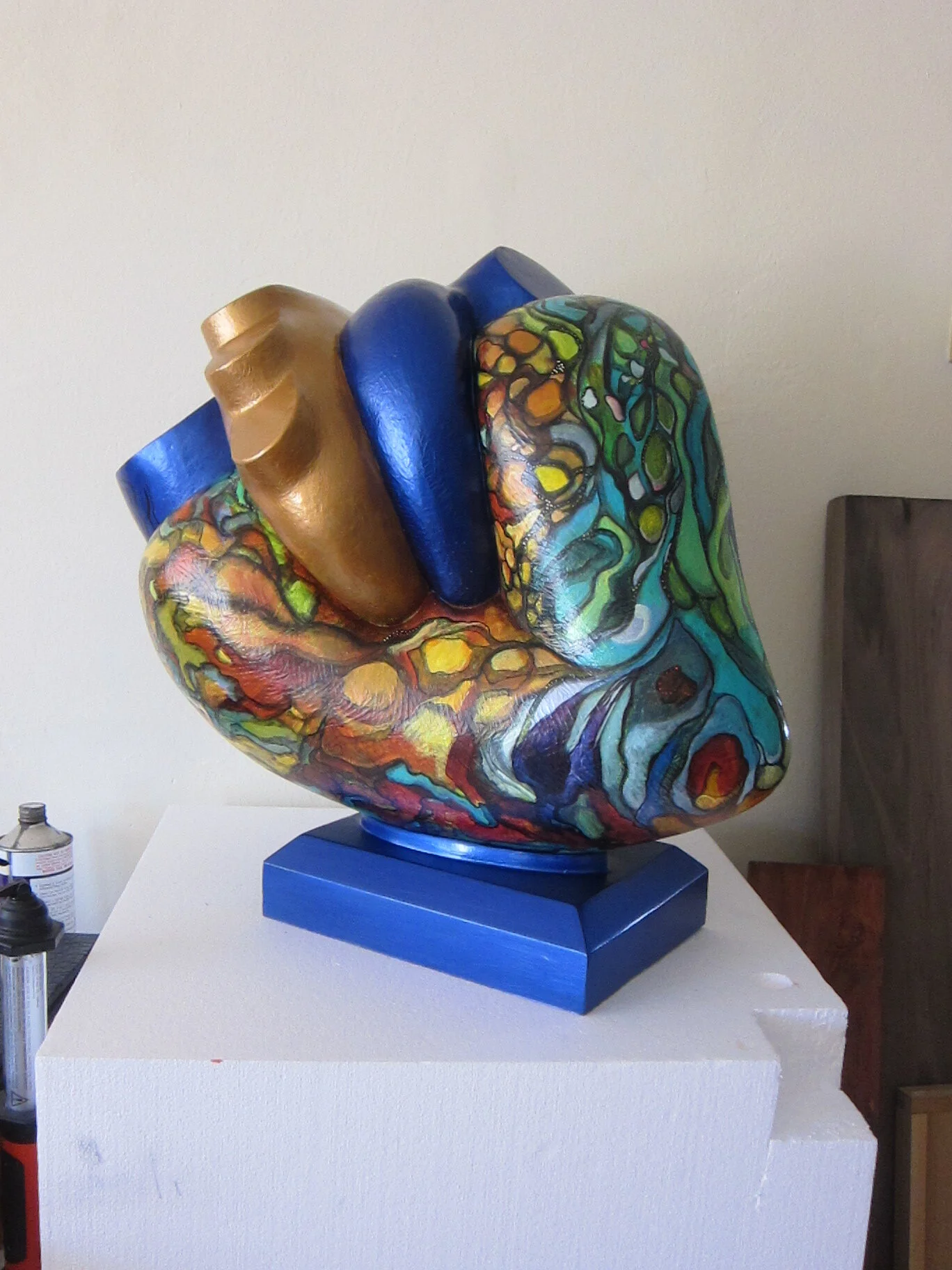 atrioventricular technicolor1.JPG