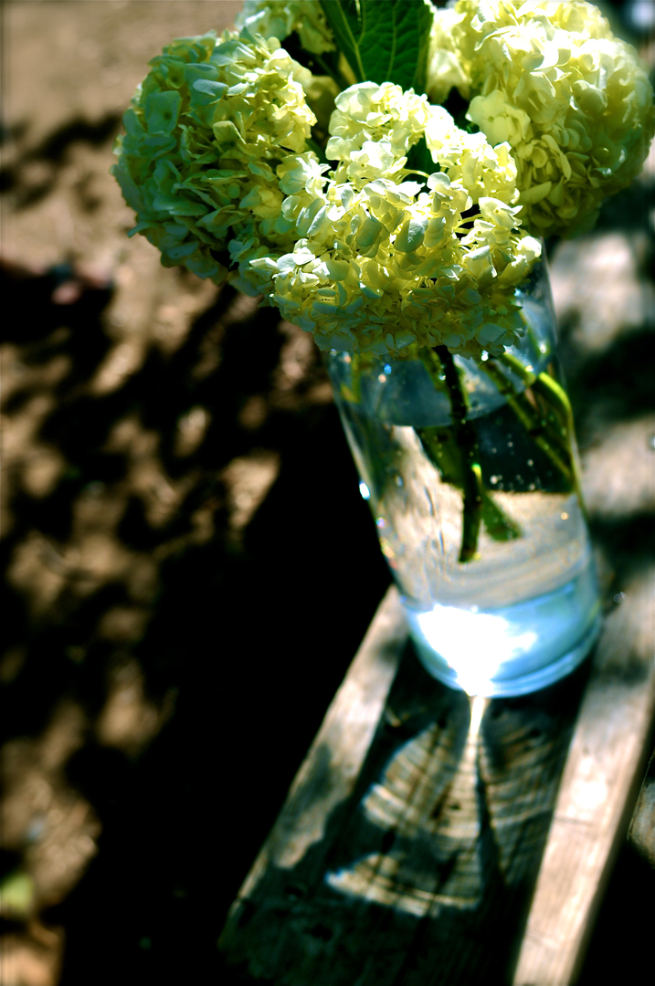 DSC_0107 - Version 3.jpg