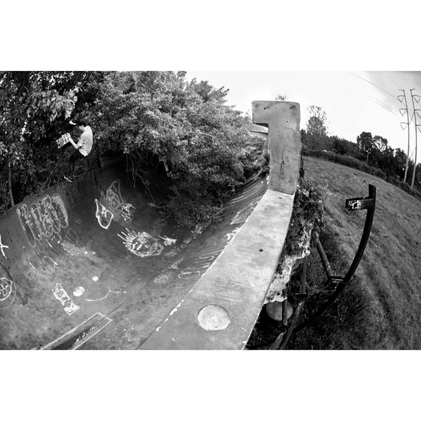 @_samlind Beanplants in an abandoned boat mould somewhere in Clearwater, Florida. @totw #aspectratio #mystks #onturr #topvideocominsoonstyll