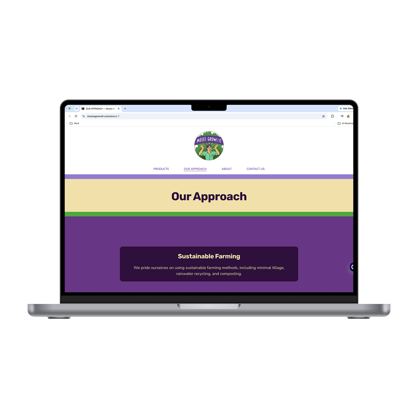 MGI - Approach 1_Mockup.png