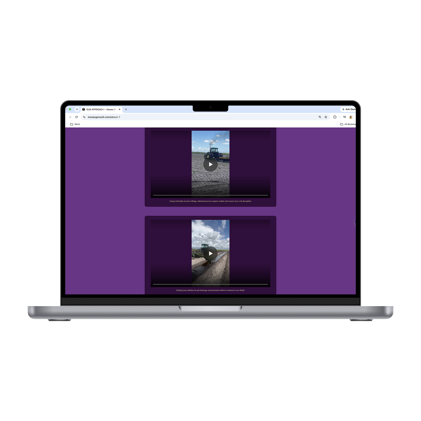MGI - Approach 2_Mockup.png