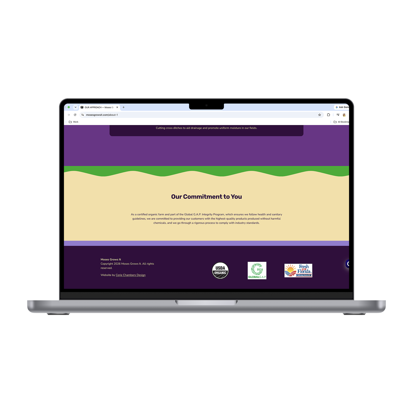 MGI - Approach 3_Mockup.png