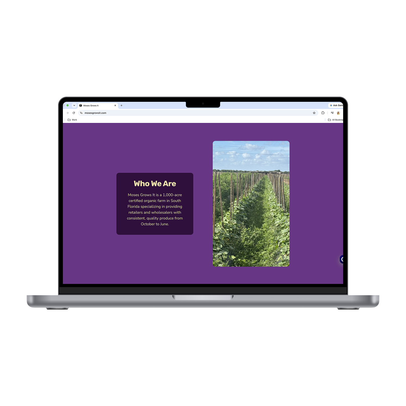 MGI - Home 2_Mockup.png