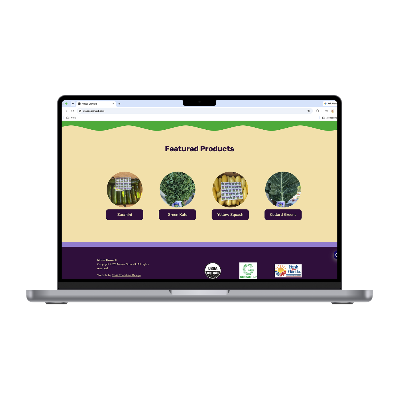 MGI - Home 3_Mockup.png