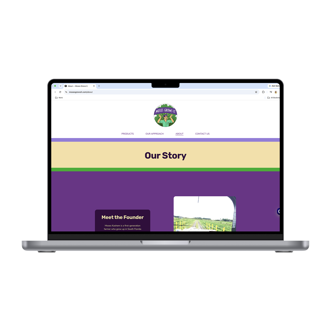 MGI - Our Story 1_Mockup.png