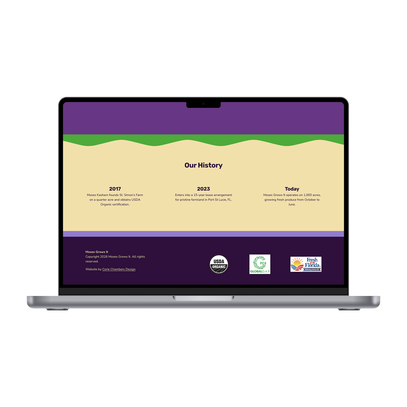 MGI - Our Story 3_Mockup.png
