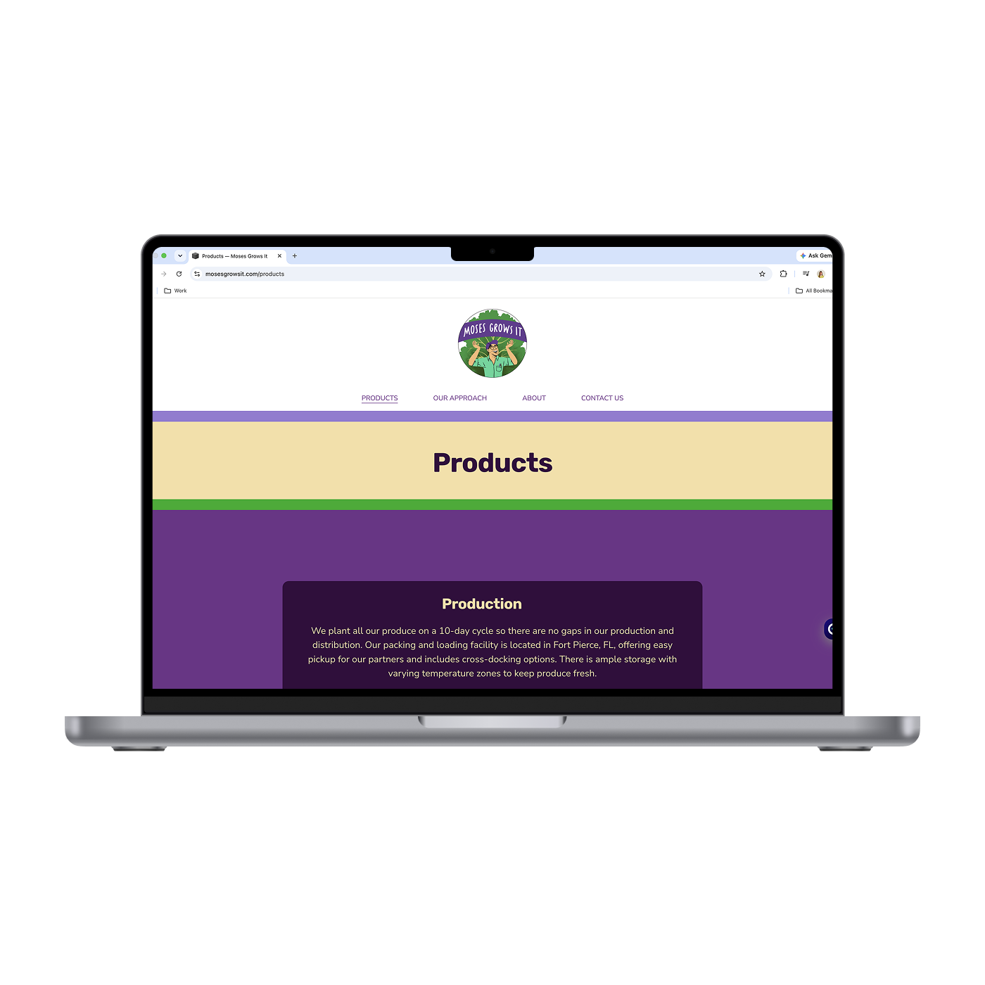 MGI - Products 1_Mockup.png