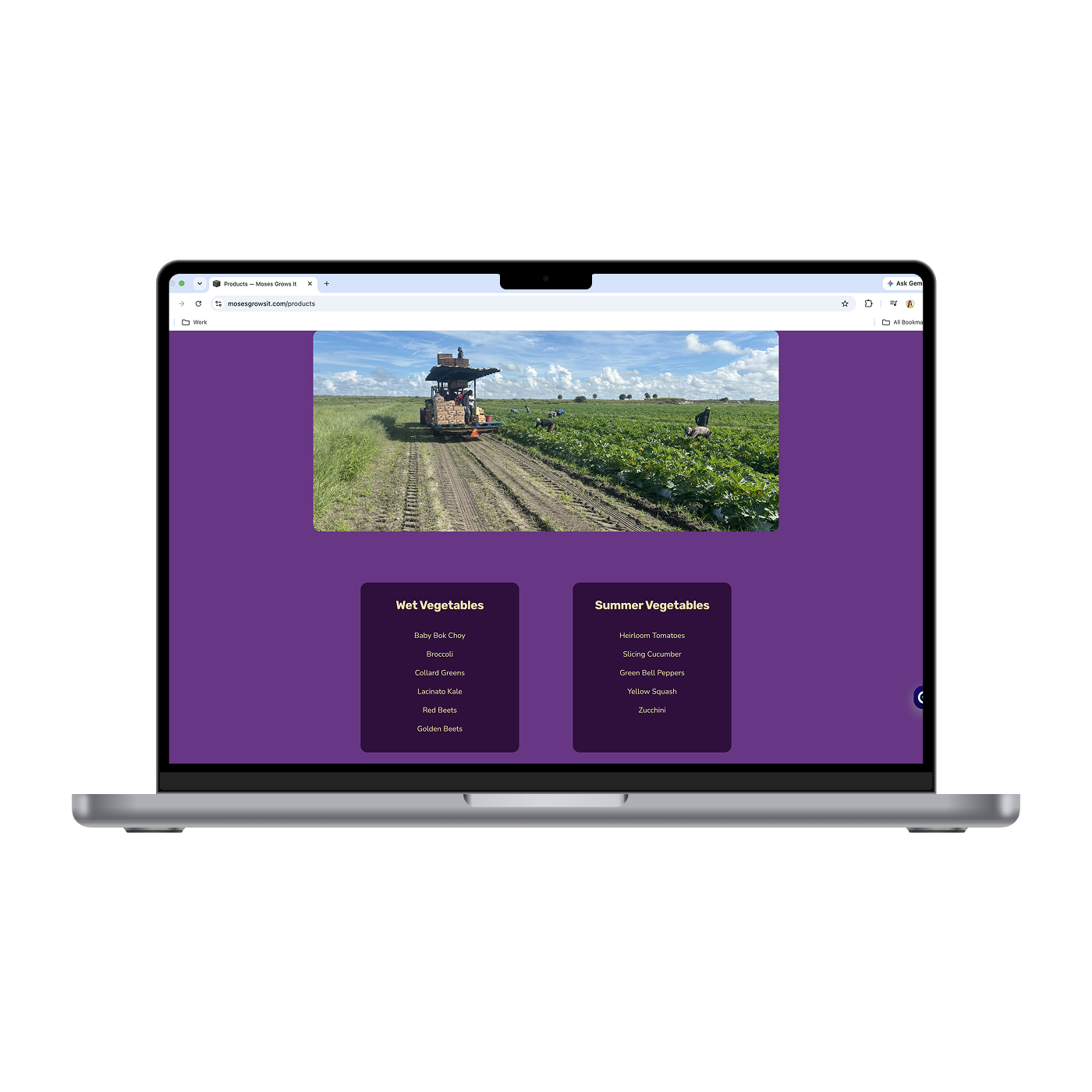 MGI - Products 2_Mockup.png