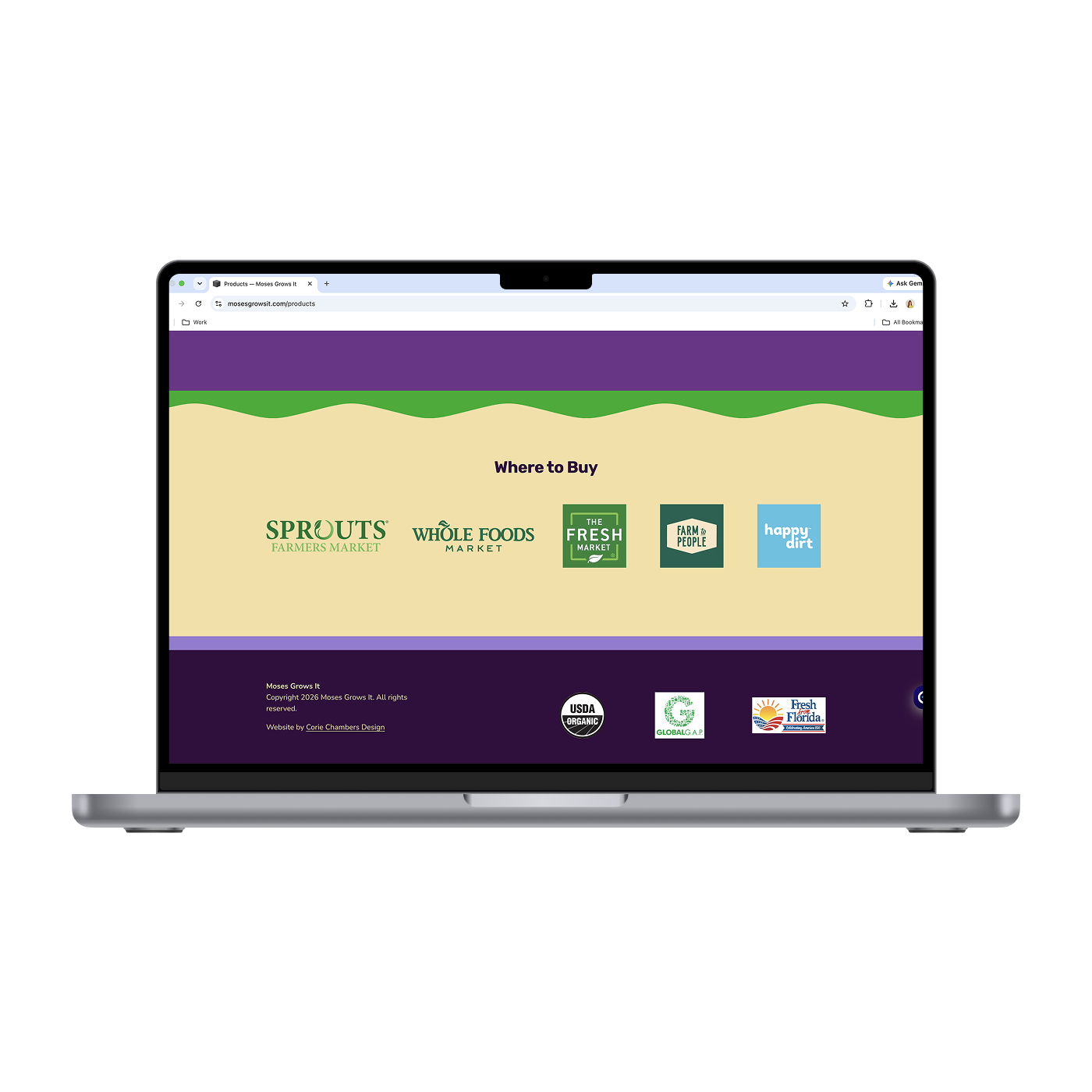 MGI - Products3_Mockup.png