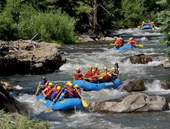 clearcreek-nixon.jpg