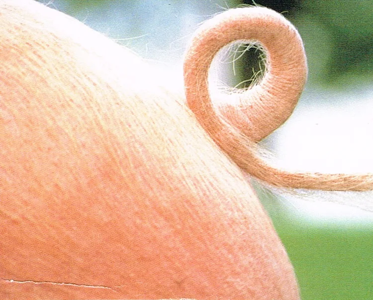 E6S-Methods Lean Six Sigma Performance Podcast - E6S Industries