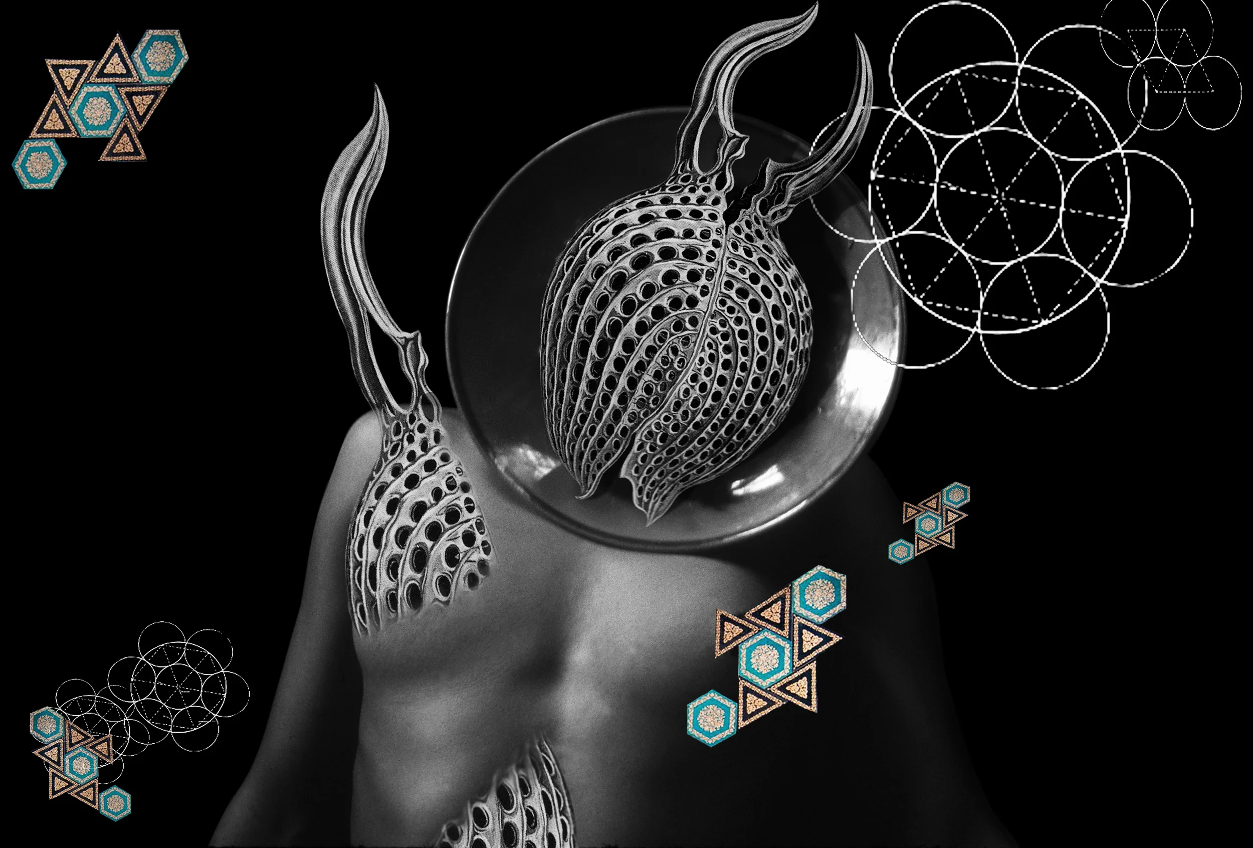 Headmap, Digital C-Print, 20x30," 2010