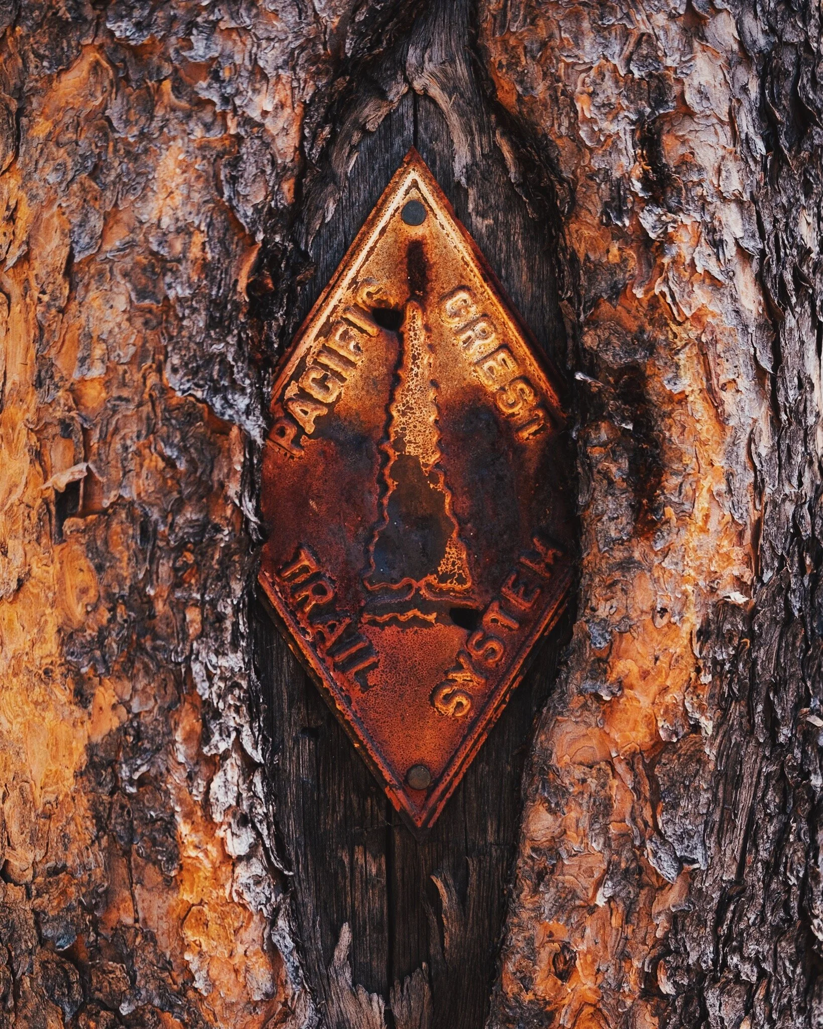 47100F7C-B032-438A-9C43-623E0E477C21