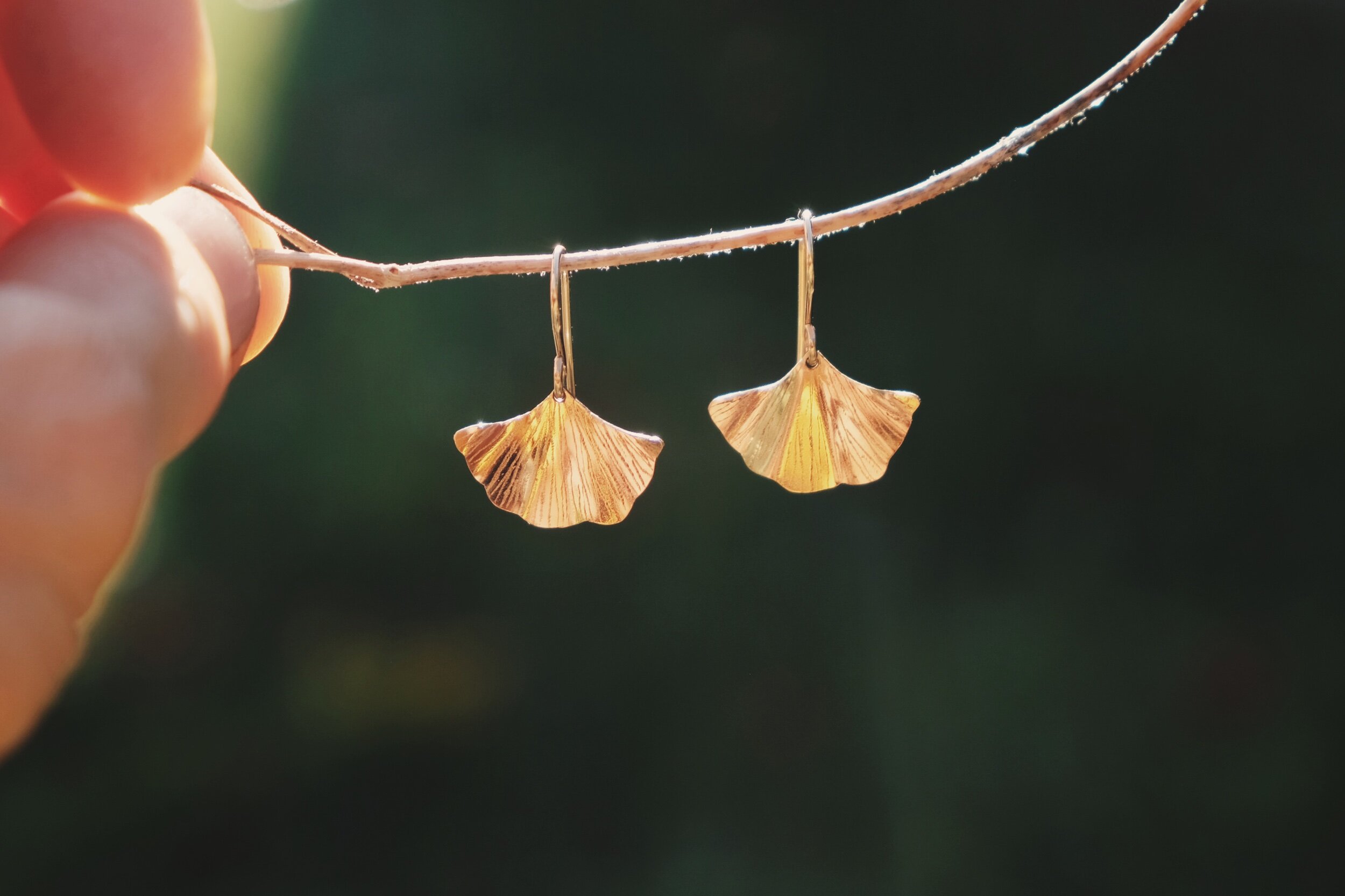 C75651CF-B13E-4C31-BE8E-10982C4C5AE7