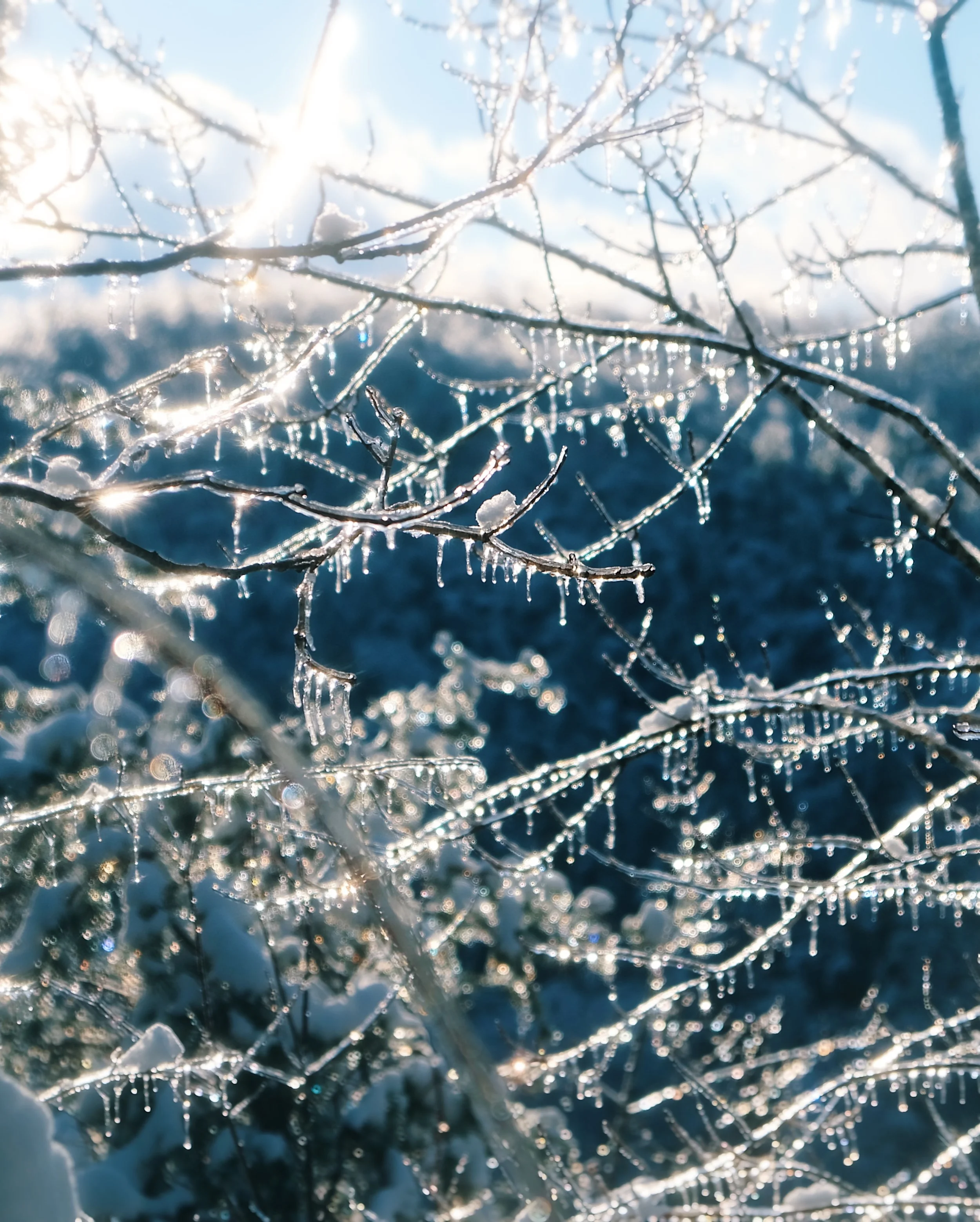 DSCF7891_VSCO.JPG