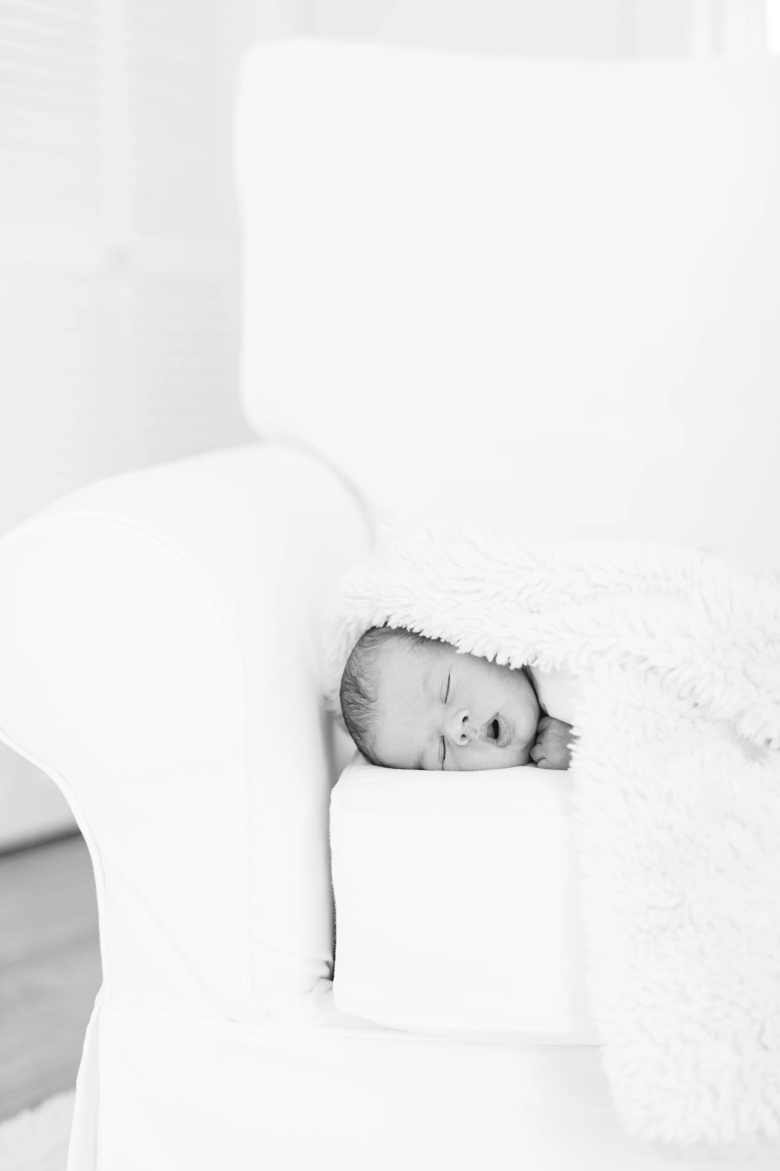 TaroFamily-143.jpg